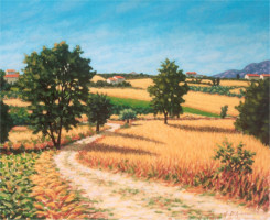 Paesaggio con campi di grano